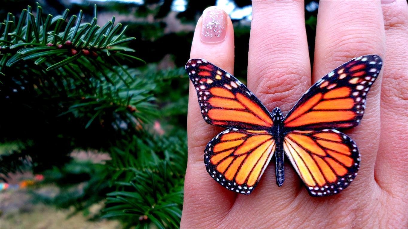Monarch butterfly ring Butterfly Jewelry Butterfly wing