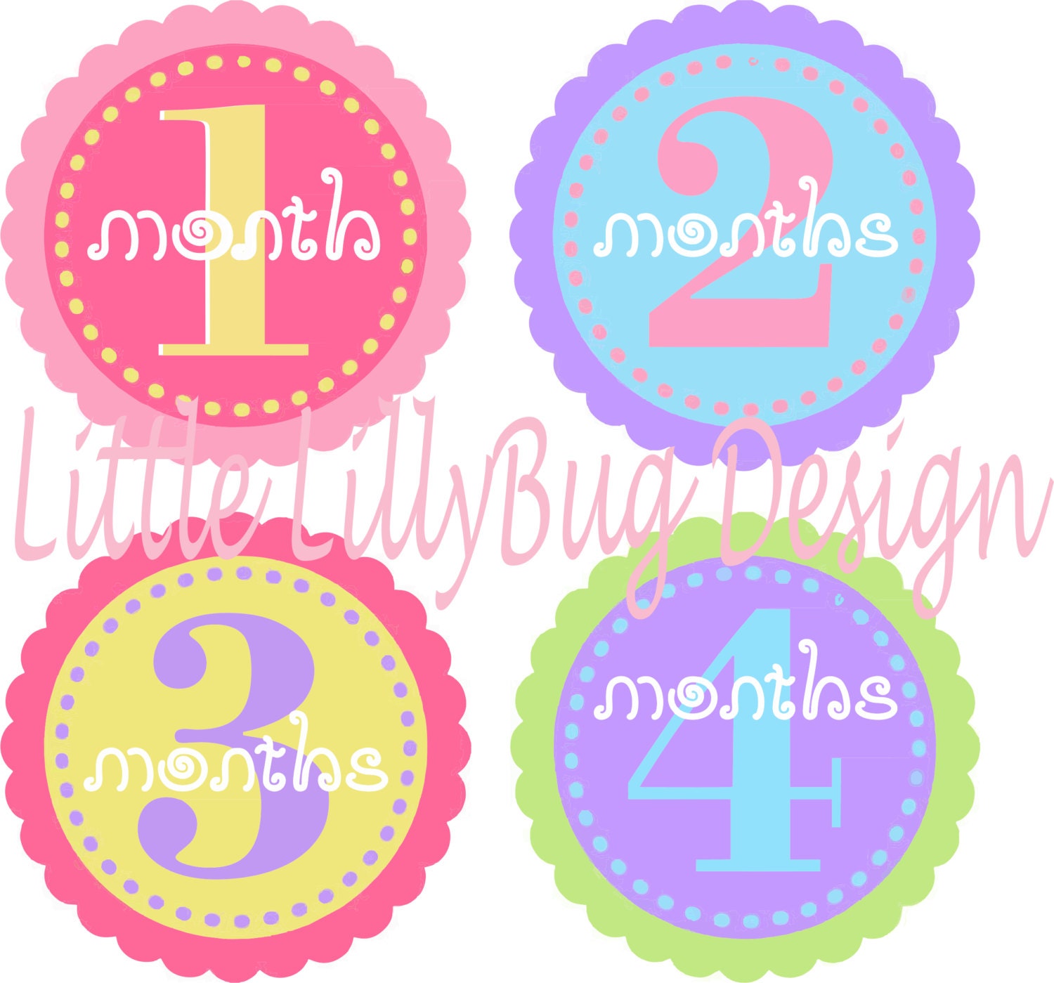 Baby Month Stickers Baby Monthly Stickers by LittleLillyBugDesign