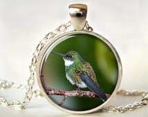 hummingbird necklace hummingbird necklace