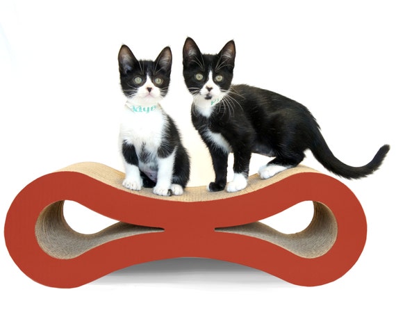 figure 8 cat toy