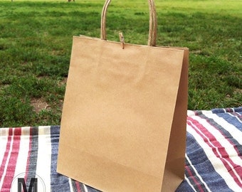 10 High Qualitity_Kraft Paper Shopping Bags_4.7x8.6x10.6"(12x 22x 27cm)_Twist Handle Carrier Bags_Wedding, Birhtday Party Favour Bags