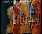 Violins, Fine Art Print, Violin Photography, Music Photography, Music, Violin Art, Not Available in Norway and other Scandavian Countries Violins, Fine Art Print, Violin Photography, Music Photography, Music, Violin Art, Not Available in Norway and other Scandavian Countries