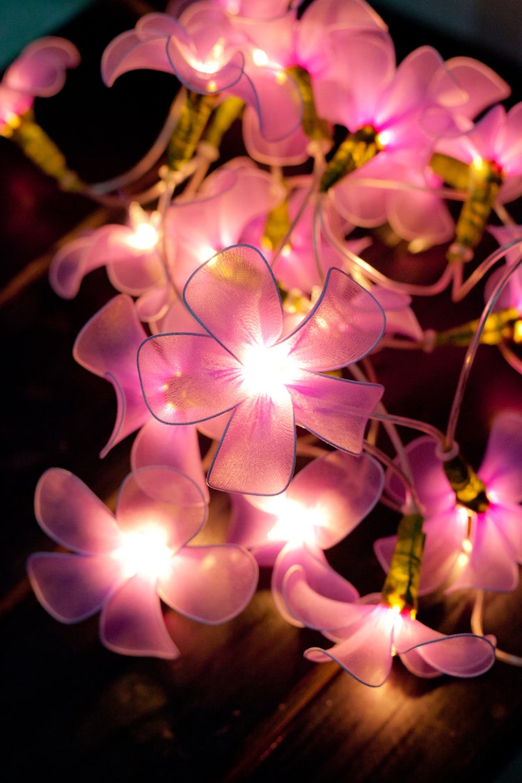 20 Purple Flower String Lights for Party Wedding by smilecotton