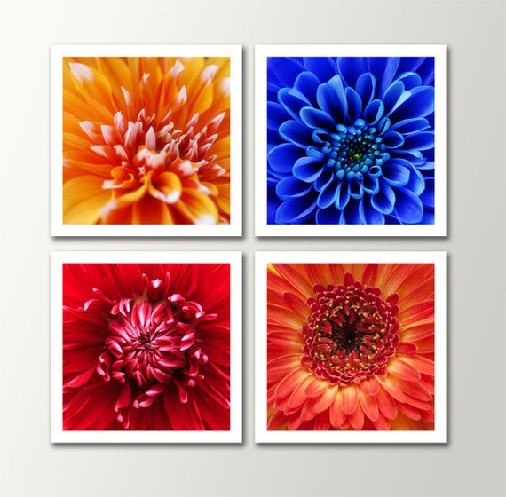 4 Piece Flower Collage Wall Art Photography Metal by LuxWallArt