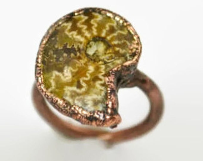 Ammonite Ring, Fossil Ammonite Ring, Fossil Ring, Electroformed, Ammonite Jewelry, Gemstone Ring, Wearable Art, Statement Ring