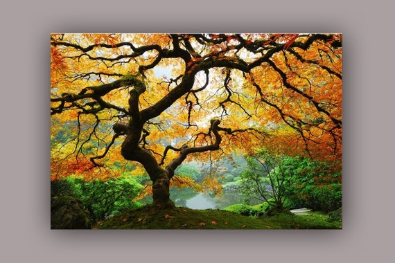 Maple Tree Mind Blowing Canvas Wall Art - Two Gifts, Keyholder Leaf and 5 Stars, Startonight Home and Kitchen Decor