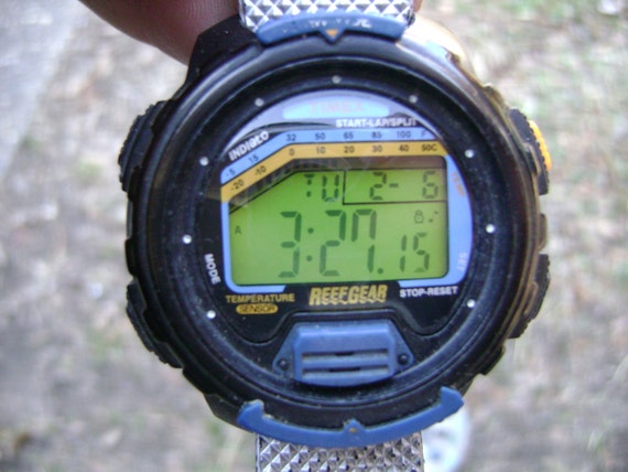timex reef gear
