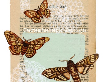 The escape  - Art Print - Butterflies and moths  - book page art