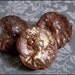Circa 1900 Paris - Art Nouveau French Metal Figural Button - Belle Epoque Lady - Price is for 1 button (the others have already sold)