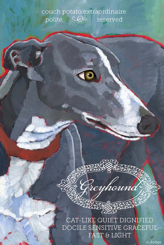 Greyhound No. 2 coasters and art prints