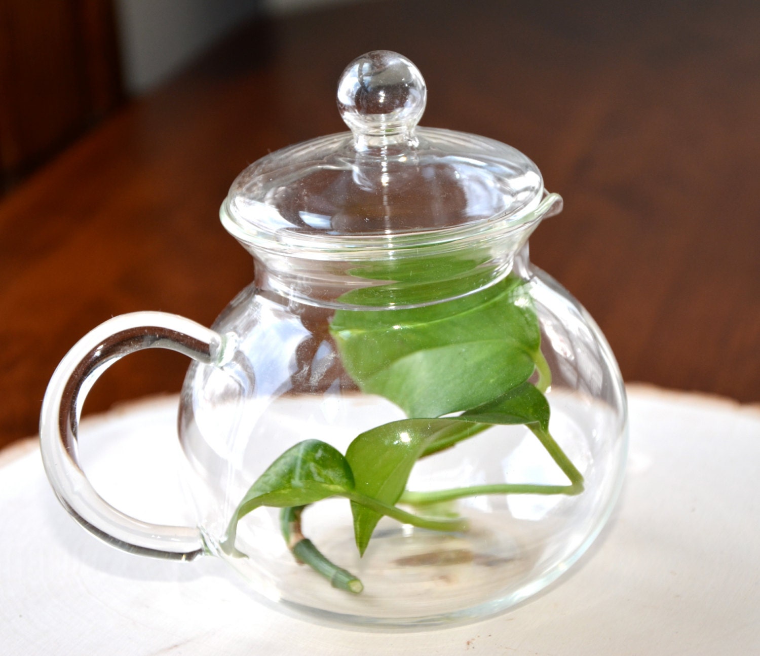 Tea for One Single Serve Clear Glass Teapot Great for