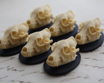 Wolf Skull Cameo Cabs Resin Cabochon Taxidermy Animal Werewolf Wolf Skull Cameo Bat Steampunk Gothic Goth Skull Black Ivory 25x18mm 6 PIECES