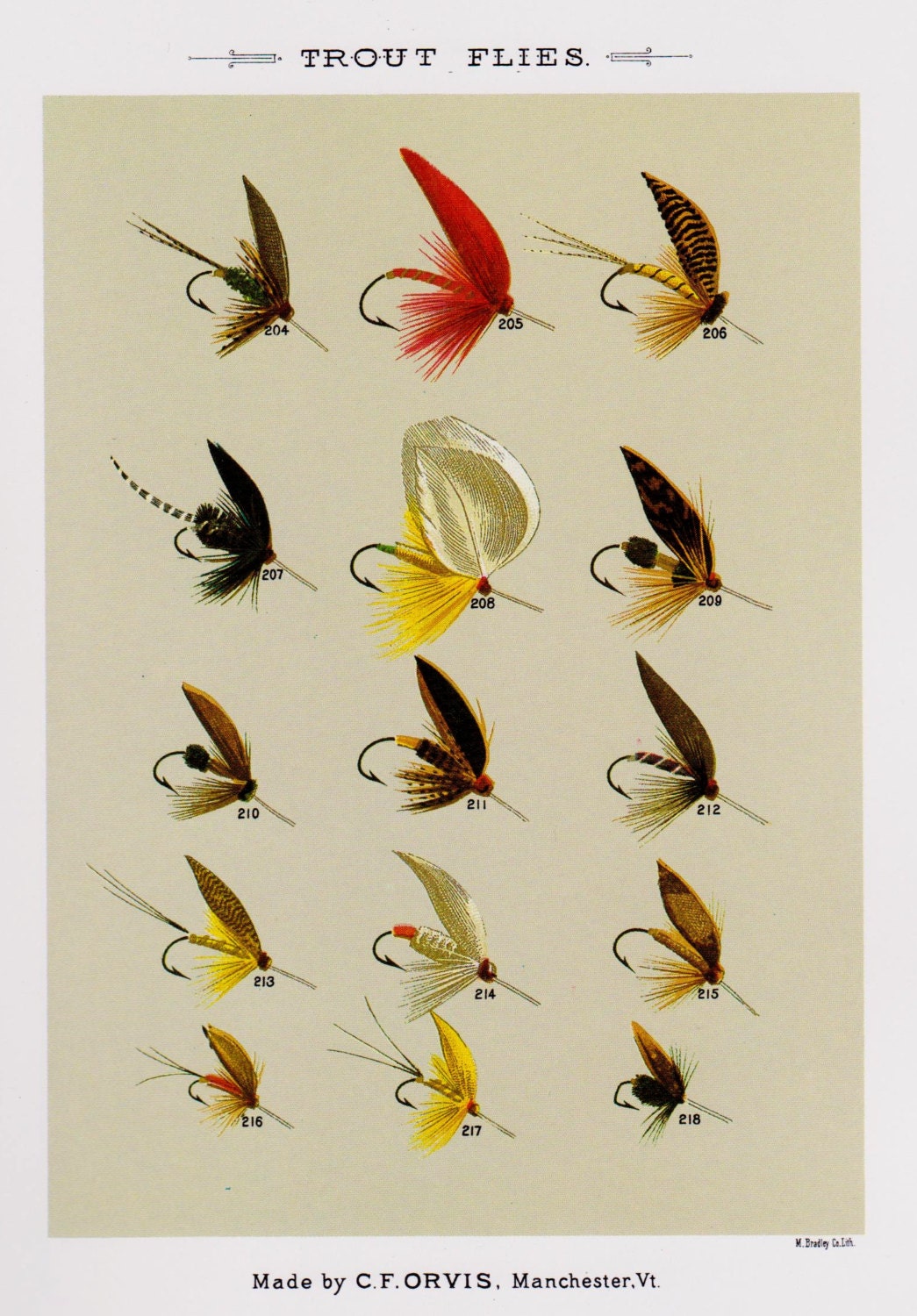 Fly Fishing Print Trout Flies Print Fishing Print Fishing