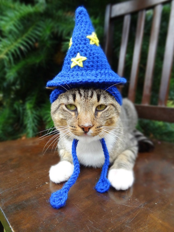 Cats wearing hats