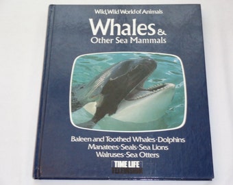 Baleen Whale Etsy