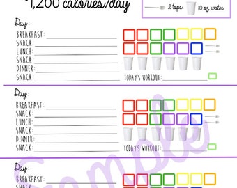 21 Day Fix Logging System Tracking Sheet Beach Body 1,200 Calorie