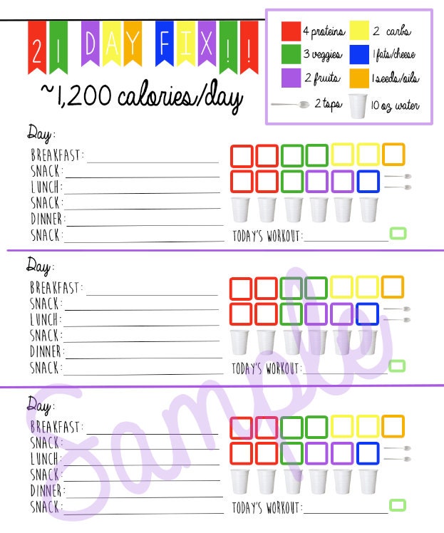 21 day fix workout printable