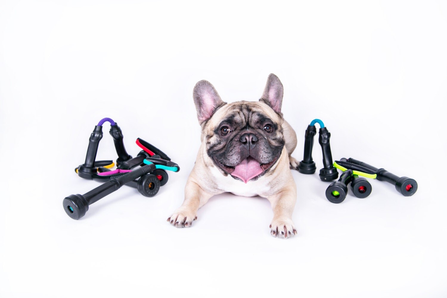 Eco Friendly Rubber Tug Dog Toy Made in Minnesota by MOOTUGS