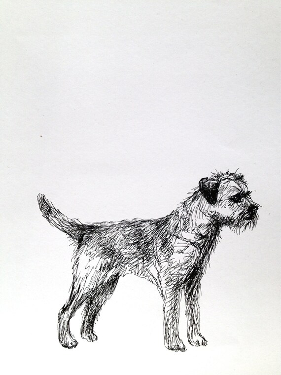 Border Terrier dog sketch ink on paper