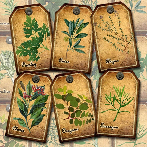 HERBS SPiCES PRiMiTiVe Vintage Art-Hang/Gift TAgs/Cards