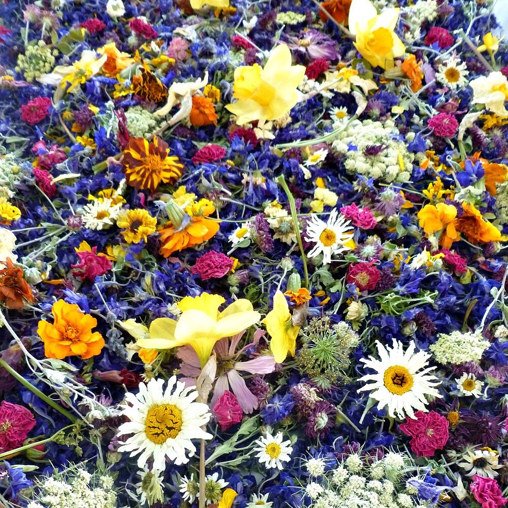 Petal Confetti Dried Flower Confetti Wedding by LarkspurHill