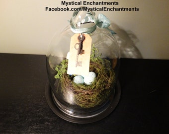 Extra Large Glass CLoche with nest, moss, eggs and skeleton key