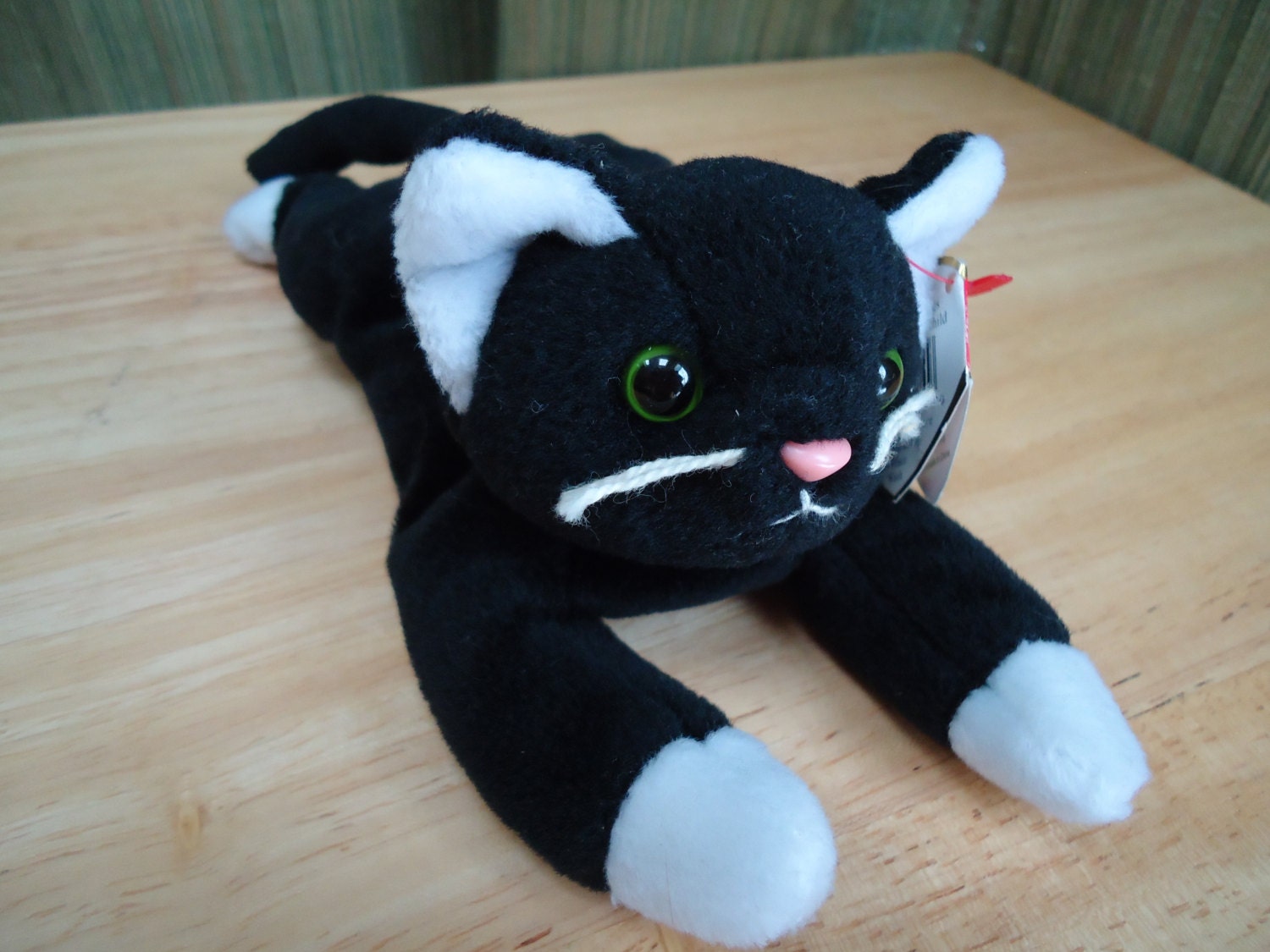 cat beanie baby