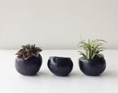 3 Black Plant Balls with drainage Set for small plants Mini Pots Vessels Wedding Favor MADE TO ORDER