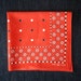 vintage Fast Color bandana