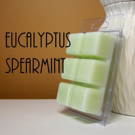 Eucalyptus Air Freshener Eucalyputus by StillWaterCandles on Etsy