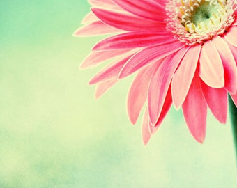 Popular items for pink gerbera daisy on Etsy