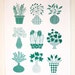 Potted Plants, Dish towel