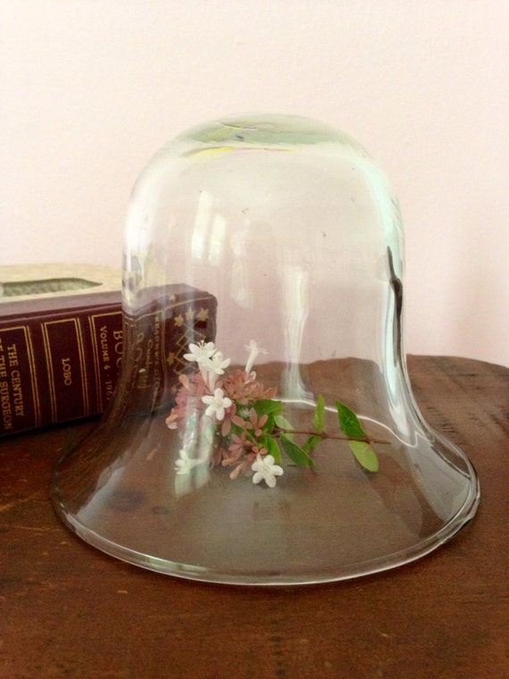 Vintage Glass Cloche/Bell Jar