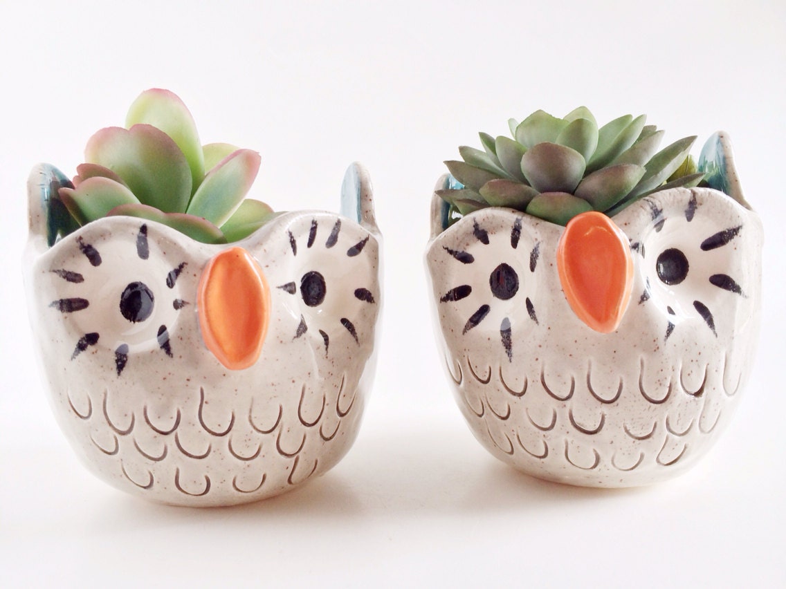 Owl Planter Ceramic Owl Housewares Ceramic and Pottery