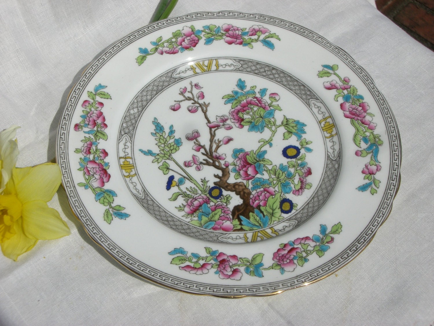 Dinner Plate Indian Tree Aynsley English