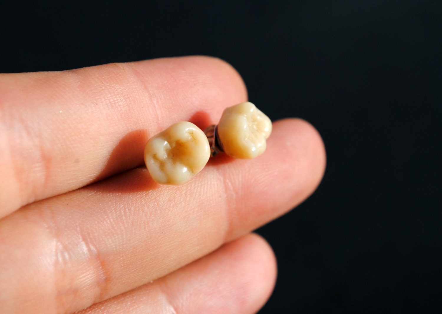 Human Tooth Stud Earrings Genuine Molar Tooth Earrings