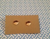 Ashton Kutcher Earrings