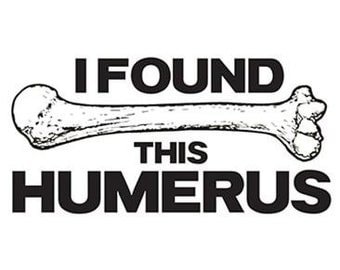 i have found this humerus