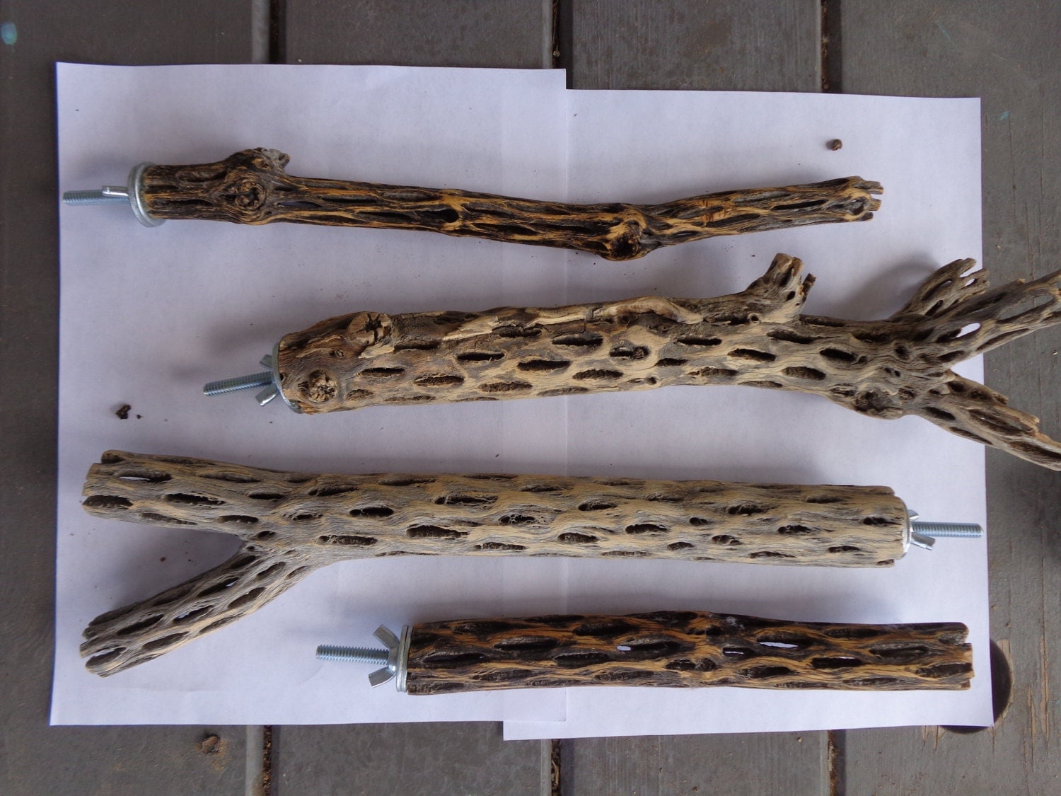 Natural Cactus Bird Perches by ChollaCactusNM on Etsy