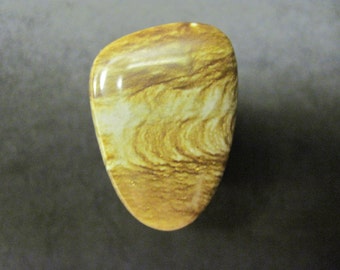 Picture jasper freeform cabochon