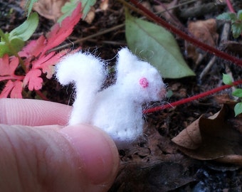 stuffed albino squirrel