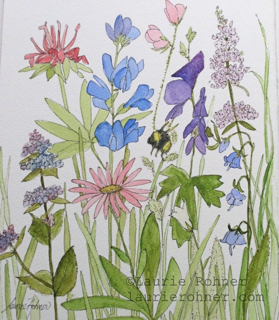 Wildflower Nature Art Watercolor Painting by BetweenTheWeeds