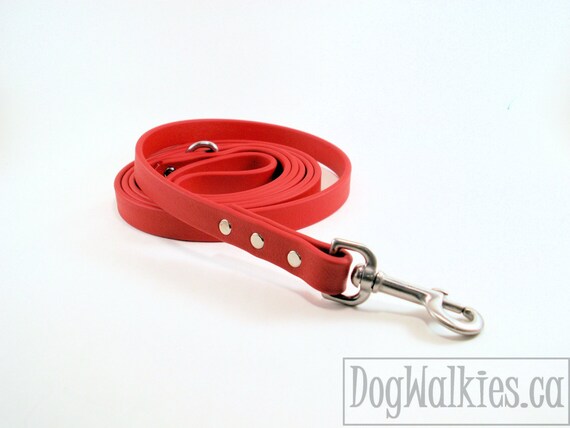 Poppy Red / 4, 5 or 6 ft Dog Leash - Leather Look and Feel - 1.2, 1.5 or 1.8 M Dog Lead - Biothane Leash - Stainless Steel or Brass Hardware