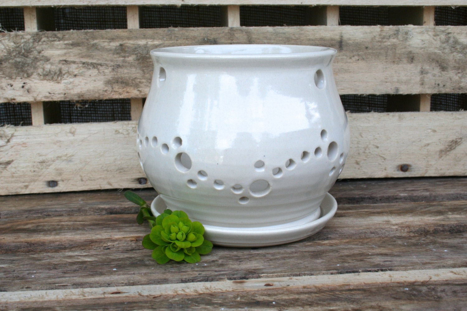 White Ceramic Orchid Pot Orchid Planter