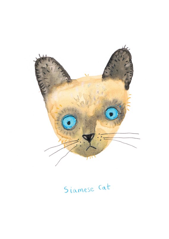 Siamese cat Print A4