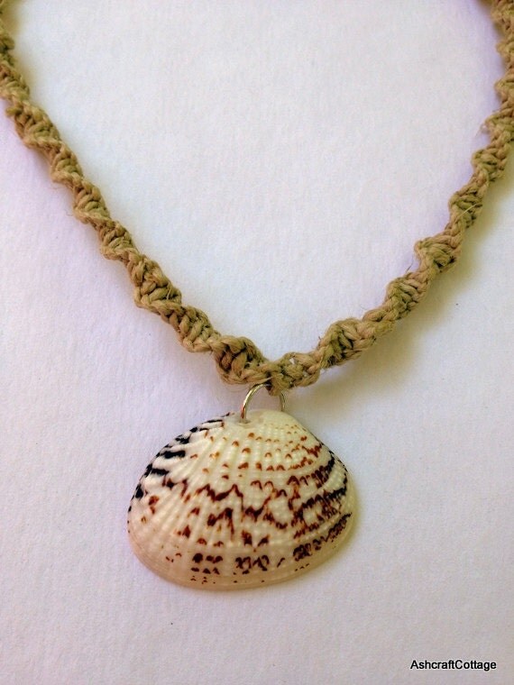 seashell loop