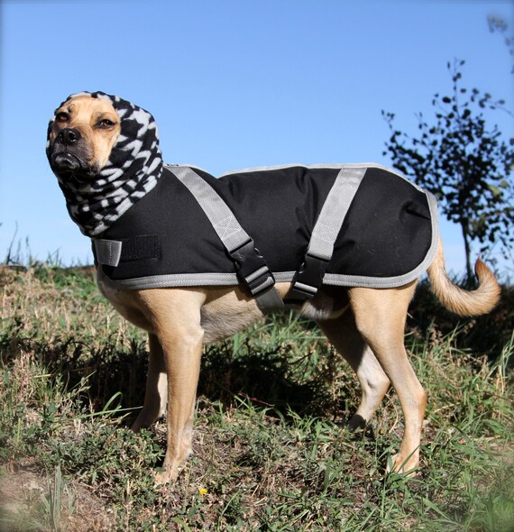 Items similar to Extra Warm Winter Dog Coat with snood size 19