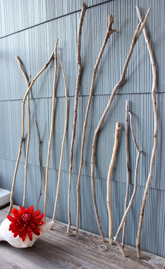 Skinny driftwood Sticks Vase Filler 12 surf Tumbled for Beach