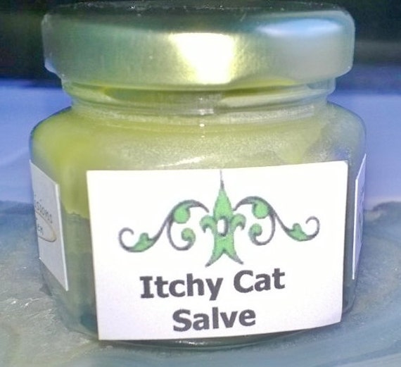 Itchy Cat Salve 1.5 ounce For dry itchy skin by uniquevisionsbyjen