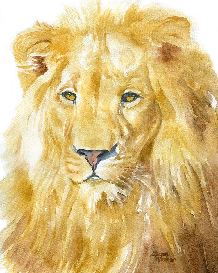 Lion Watercolor Painting 8 x 10 8.5 x 11 Giclee Print